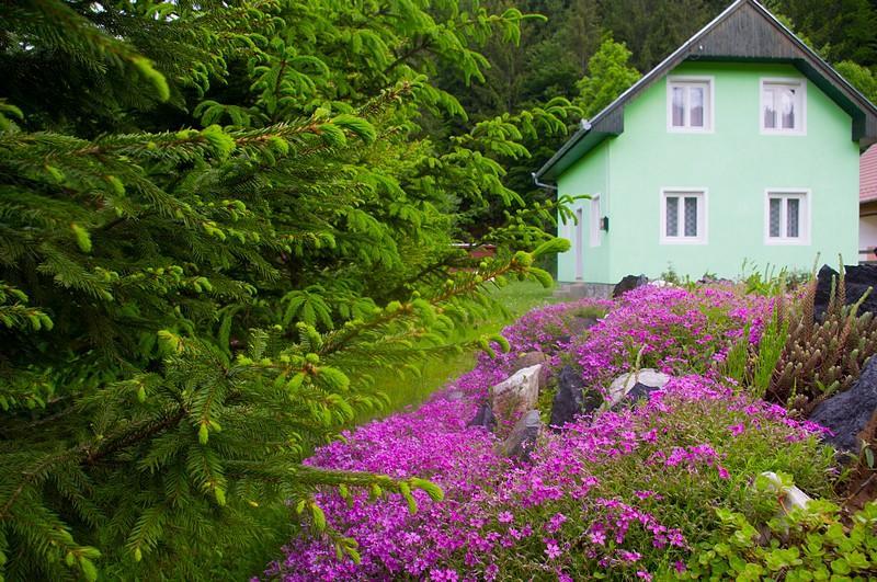 Pataki Kulcsosház Izvoare (Harghita) Exterior foto